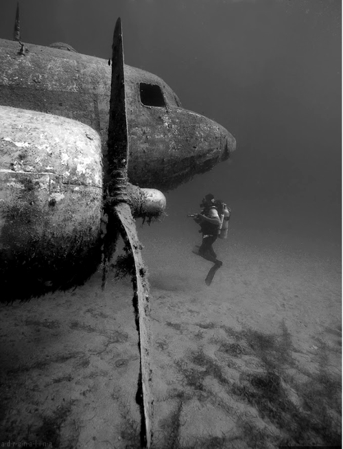 Abandoned Aircraft Wreckage Underwater Photography