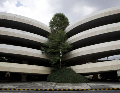 Brutalist Concrete Building Landscape Photography