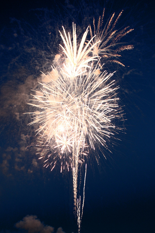 Fireworks Display Night Sky Landscape