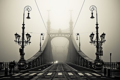 Foggy Budapest Chain Bridge Landscape