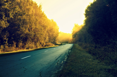 Autumn Foliage Country Road Landscape