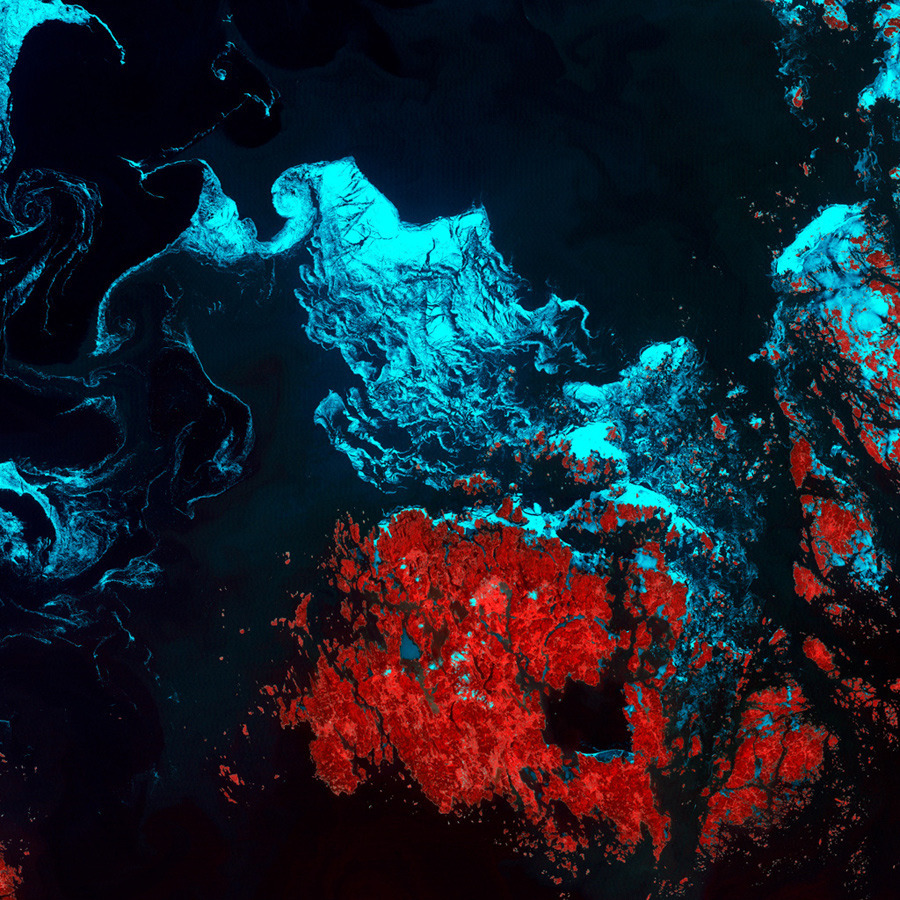 Vibrant Underwater Ocean Abstract Photography