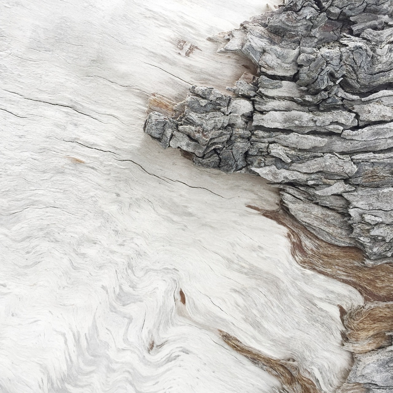 Frozen River Gorge Landscape Photography