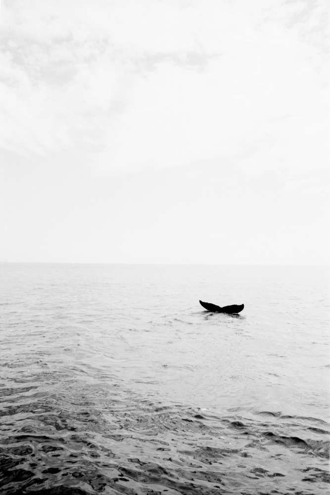 Lone Boat On Overcast Seascape Photography
