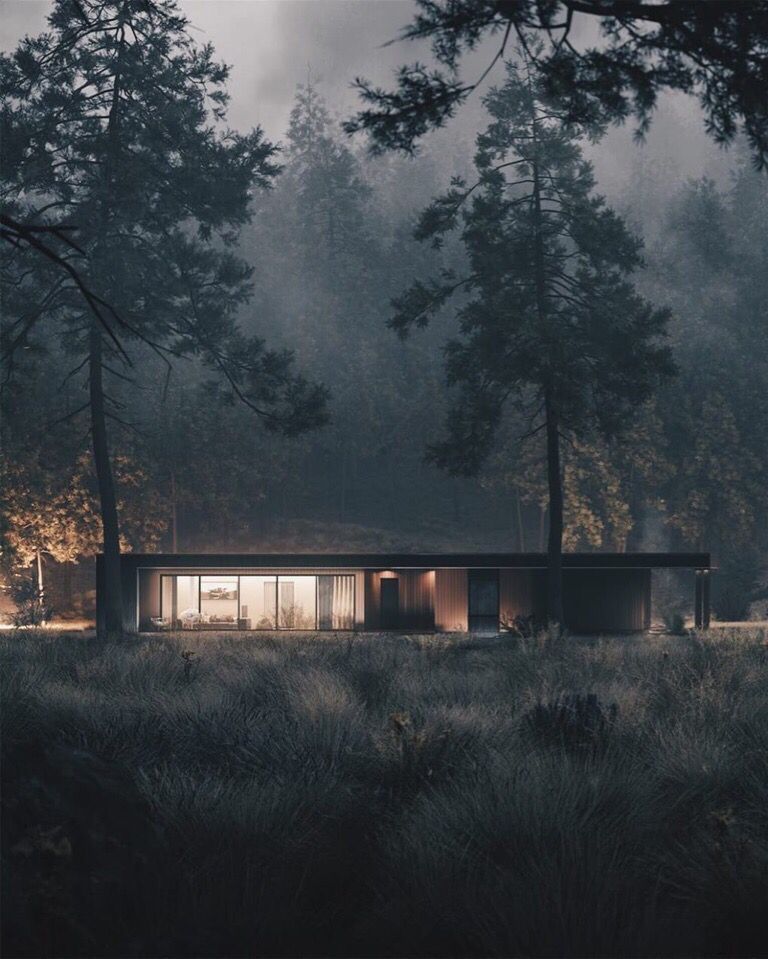 Modern Cabin In Misty Pine Forest Landscape