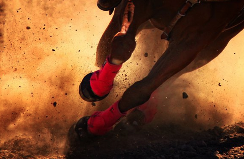 Dusty Desert Trail Running Landscape