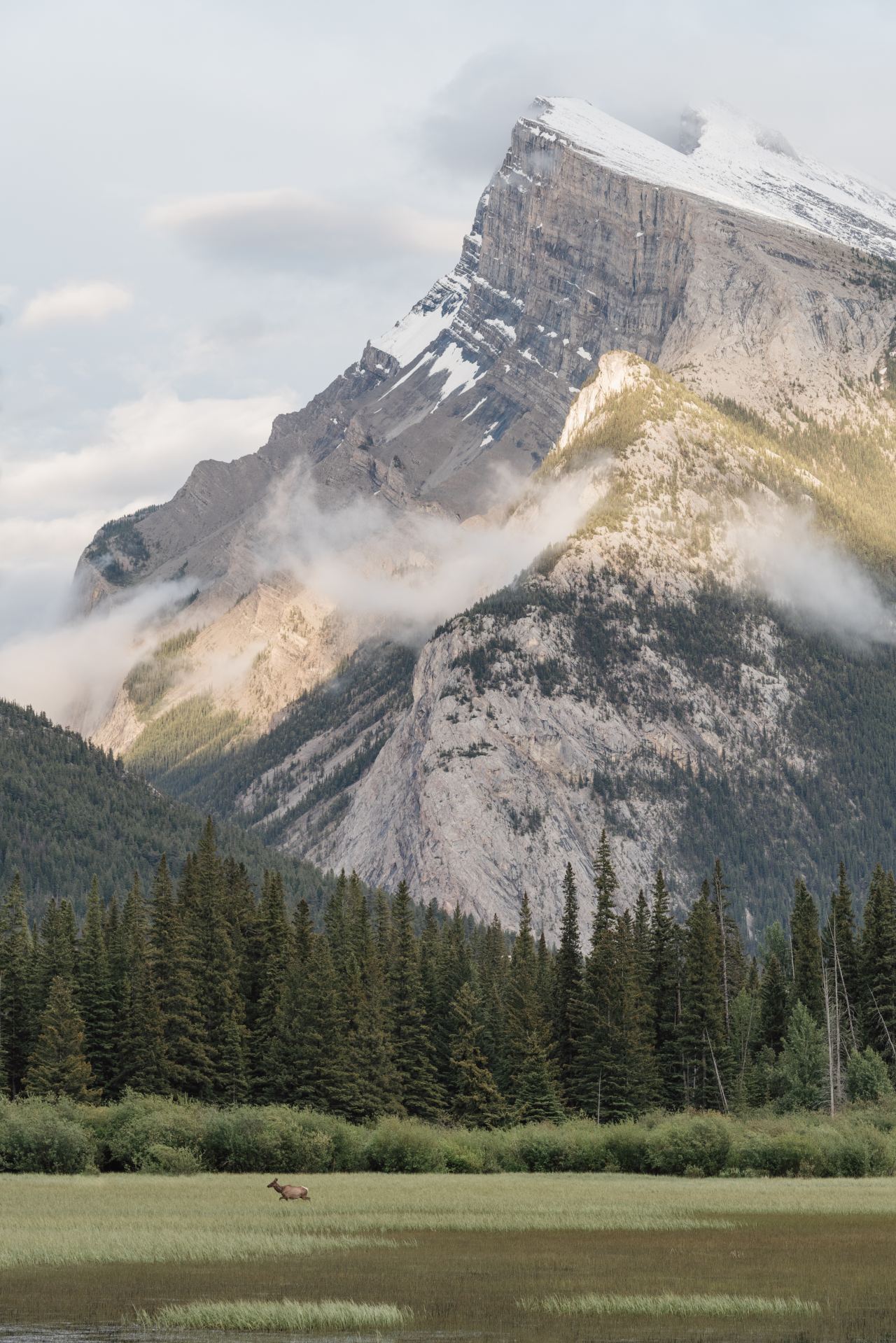 Snowy Canadian Rockies Landscape Photograph