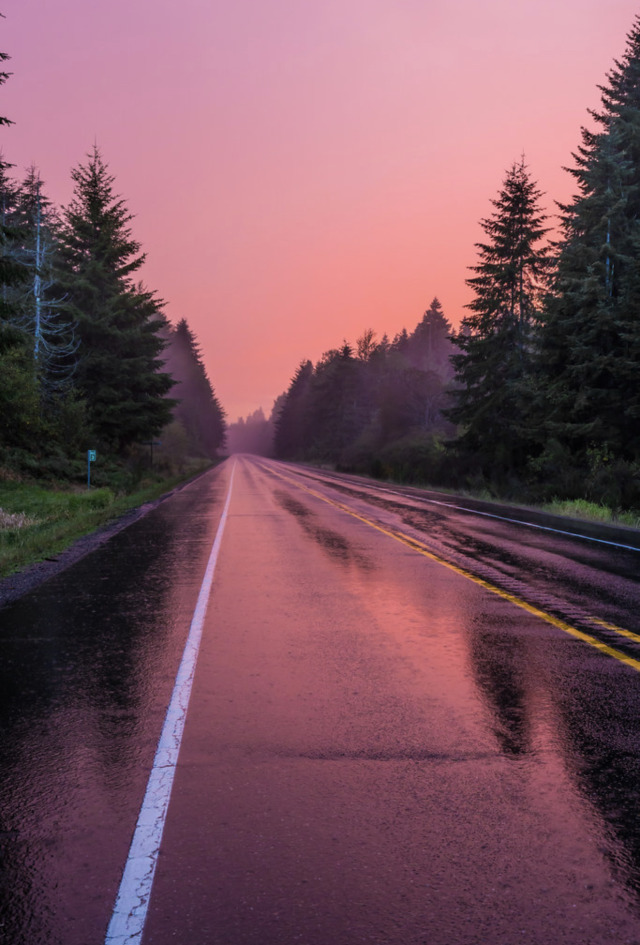 Winding Forest Road Landscape At Dusk