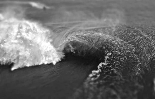 White foam crashes against barnacle-covered rock in this close-up black and white study of coastal collision. The tight composition focuses on texture where churning water meets weathered stone.