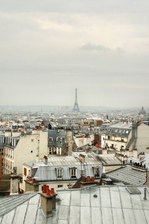 Aerial View Of Historic Parisian Rooftops