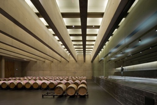 Barrel-aged Cellar Interior Landscape