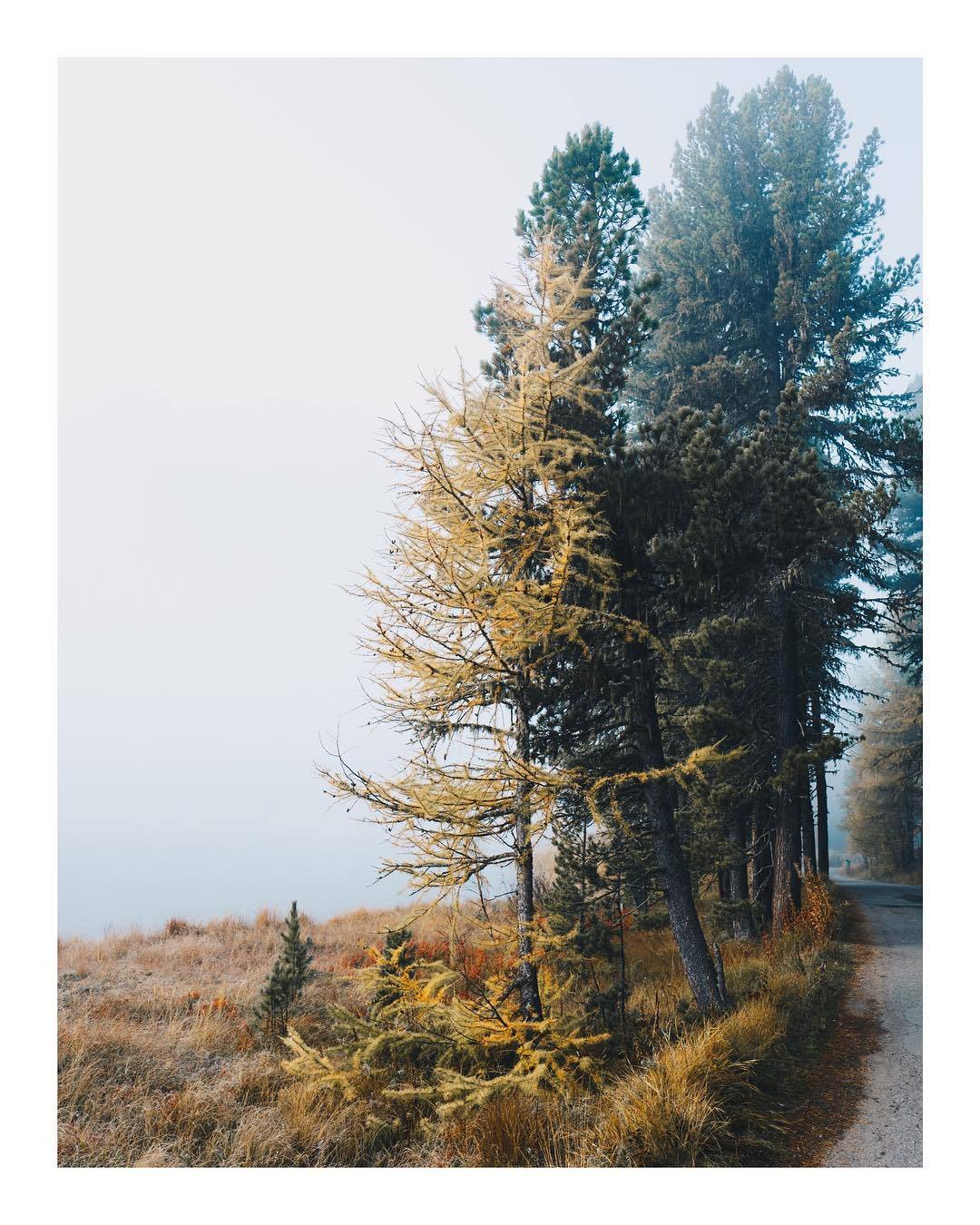 Autumn Woodland Landscape Photography