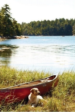 Wooden Dock Lakeside Landscape Photography
