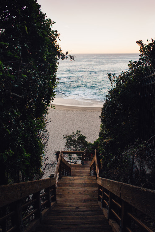 Tropical Beachfront Steps Landscape
