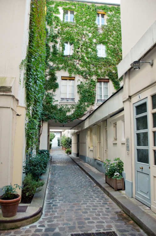 Ivy-covered Alleyway Landscape Paris