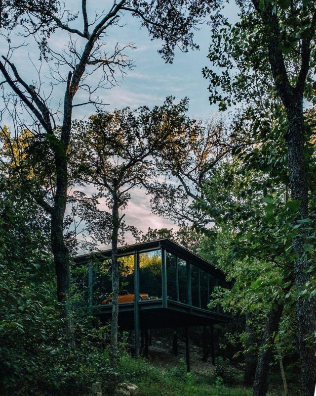 Lush Forest Treehouse Nature Retreat