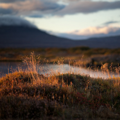Majestic Mountain Landscape Grasslands Photography