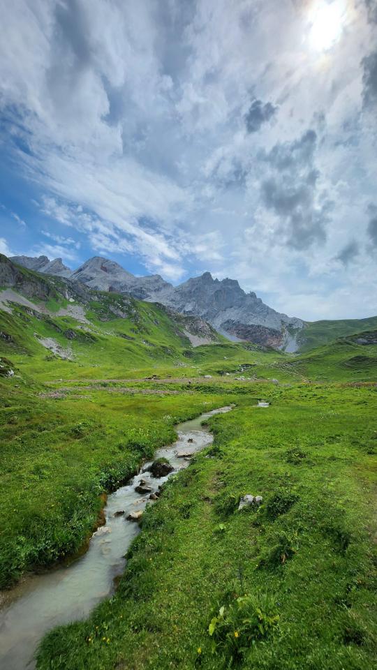 Alpine Meadow Landscape Photography