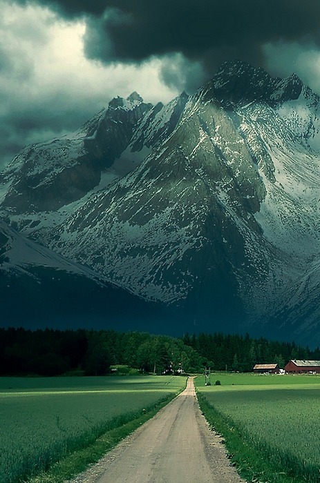 A dirt road cuts through emerald fields toward distant farm buildings, while storm clouds gather over snow-capped peaks behind. The composition balances pastoral valley life against the monumental alpine backdrop.