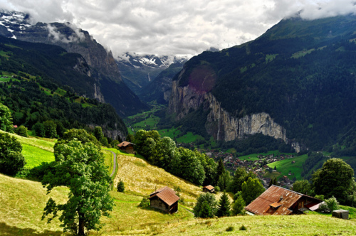 Scenic Alpine Meadow Landscape Photography