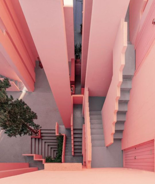 Pink Stairway Architecture Landscape Photography
