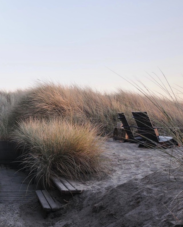 Coastal Boardwalk Dune Landscape Photography