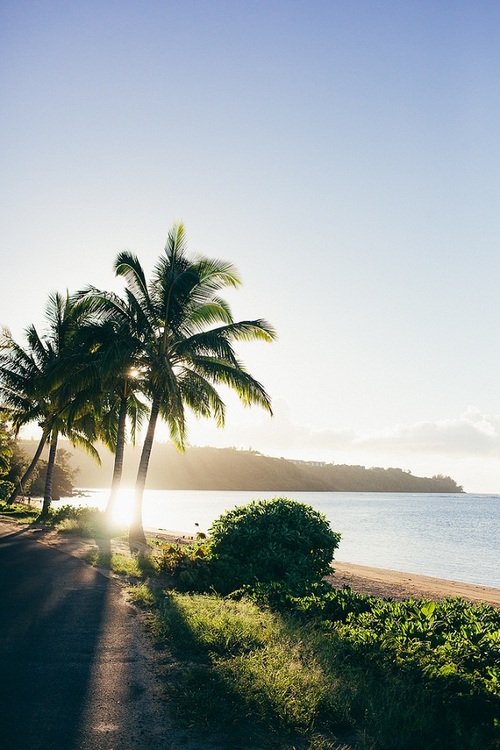 Warm sunlight filters through towering palm trees casting dramatic shadows across a tropical beach as golden hour illuminates the sandy shore. The tranquil coastline stretches toward distant hills with lush vegetation framing the path to crystalline waters.