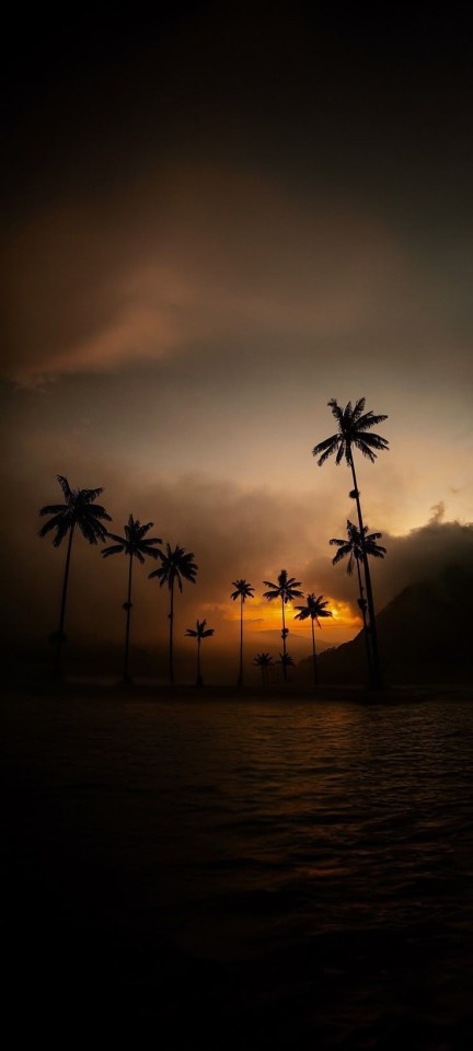Tropical Sunset Landscape Photography