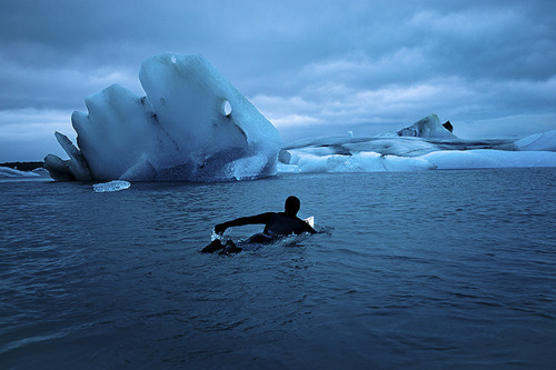 Arctic Ocean Icy Landscape Swimming