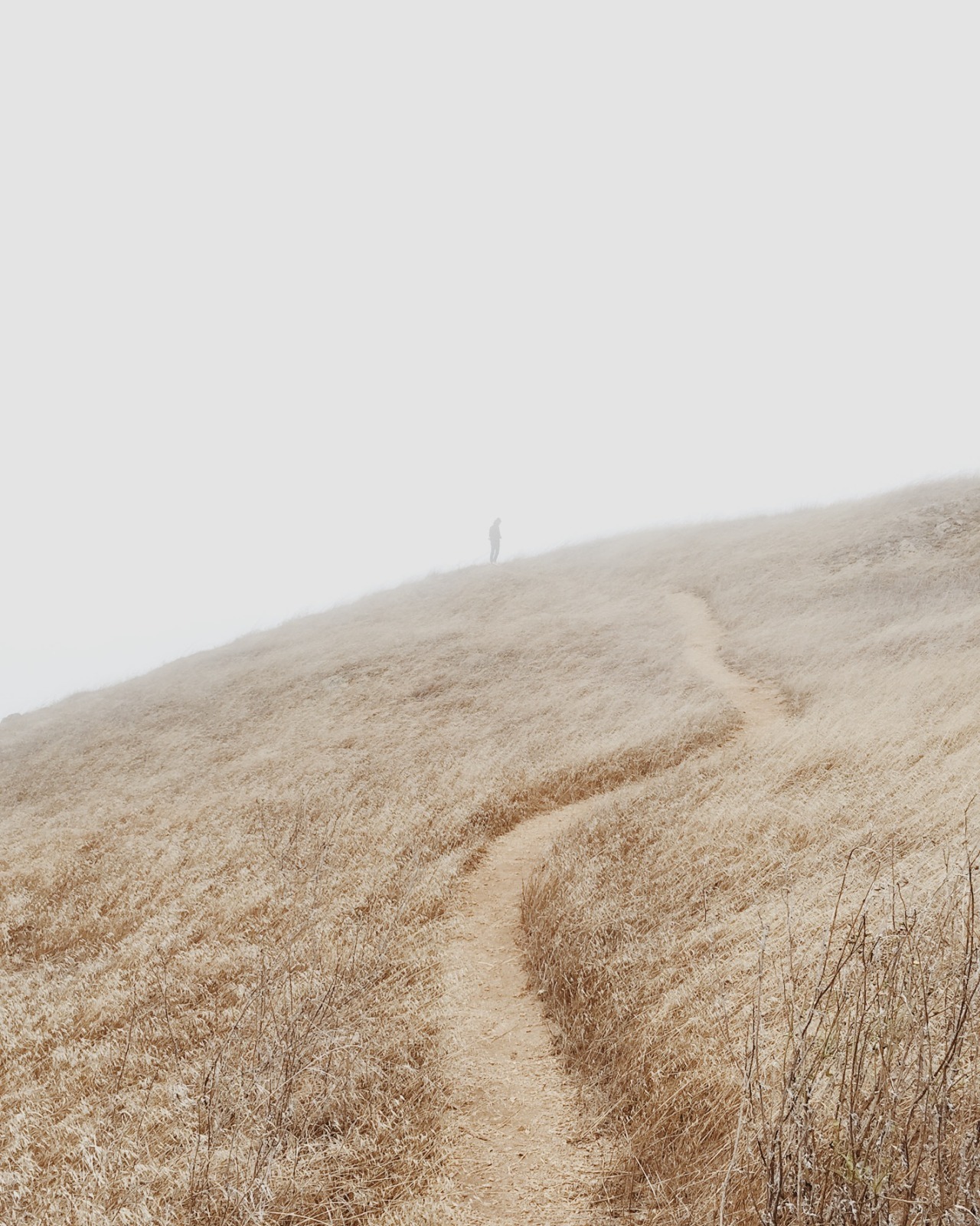 Gravel Path Landscape Photography