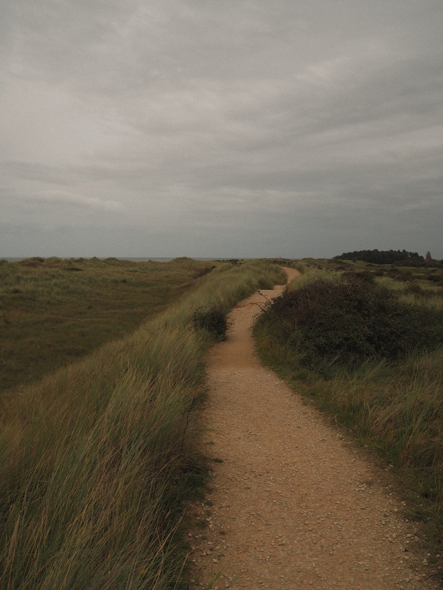Winding Desert Landscape Photograph