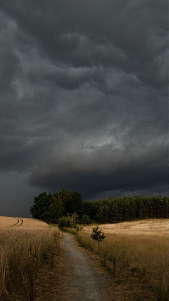 Landscape Photography Of Wheat Field Path