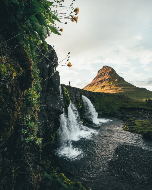 Lush Icelandic Waterfall Landscape Photography