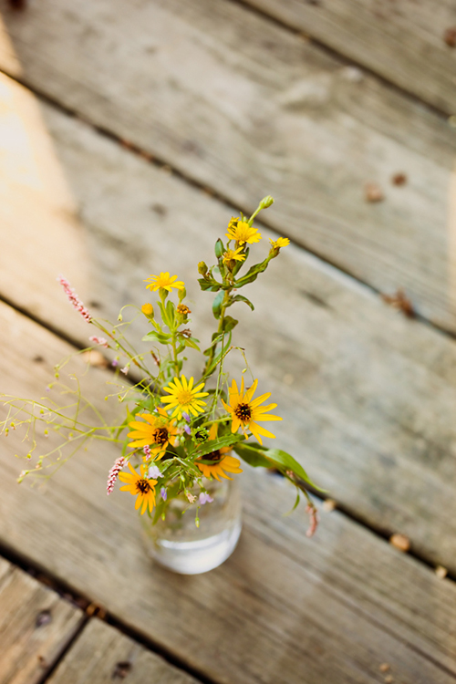 Wildflowers On Wooden Deck Landscape Photography