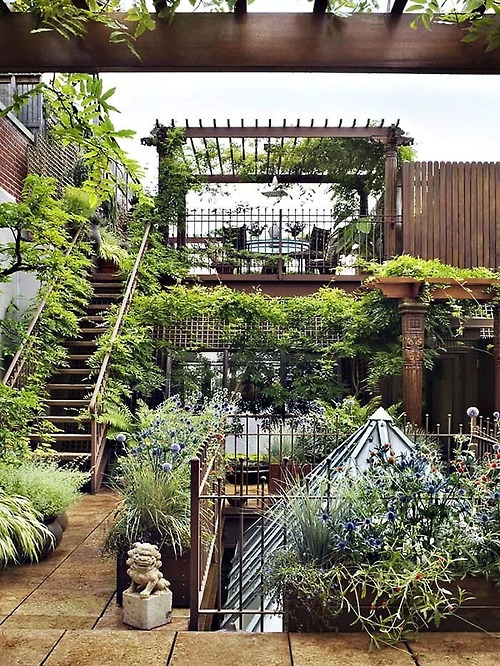 Lush Terraced Garden Oasis Urban Landscape
