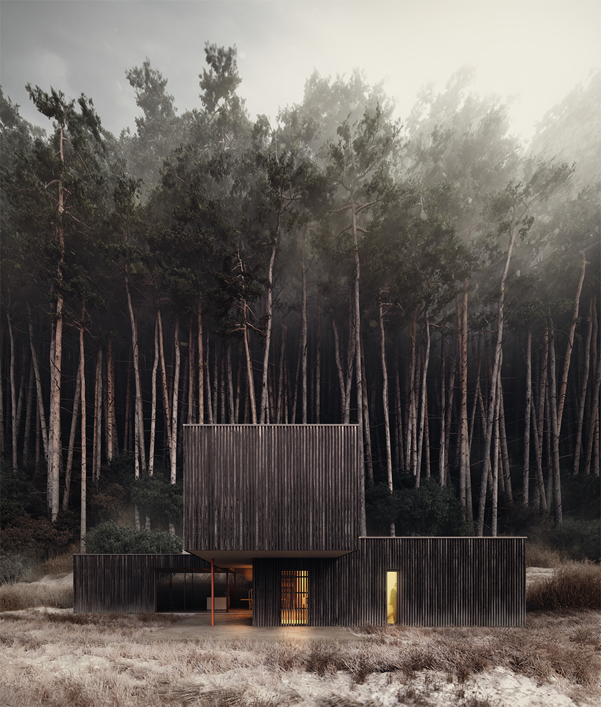 Rustic Cabin Landscape Photography