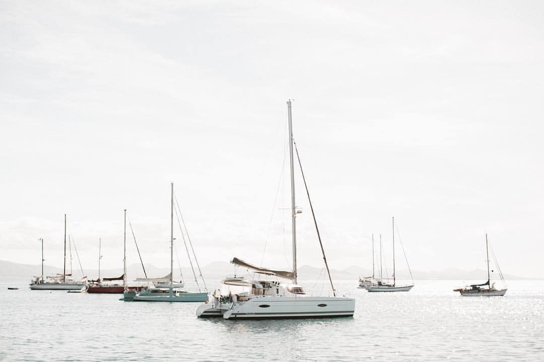 Sailboats Moored In Tranquil Harbor Landscape