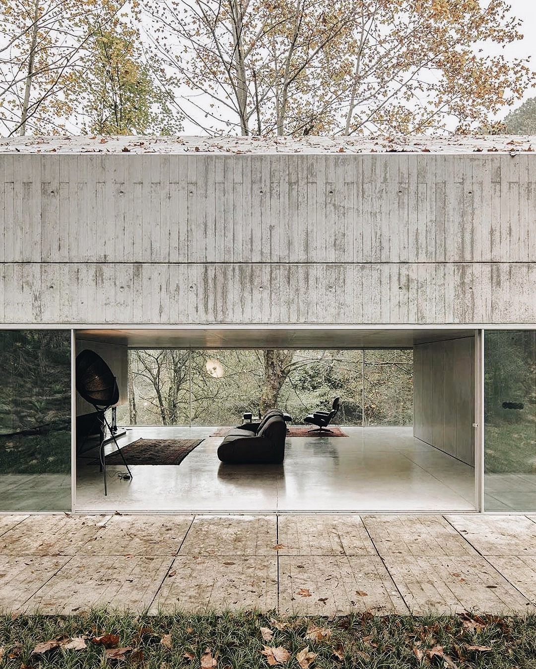 Minimalist Glass-walled Woodland Retreat