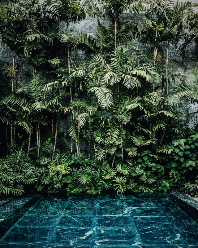 Lush Tropical Paradise Landscape Photograph