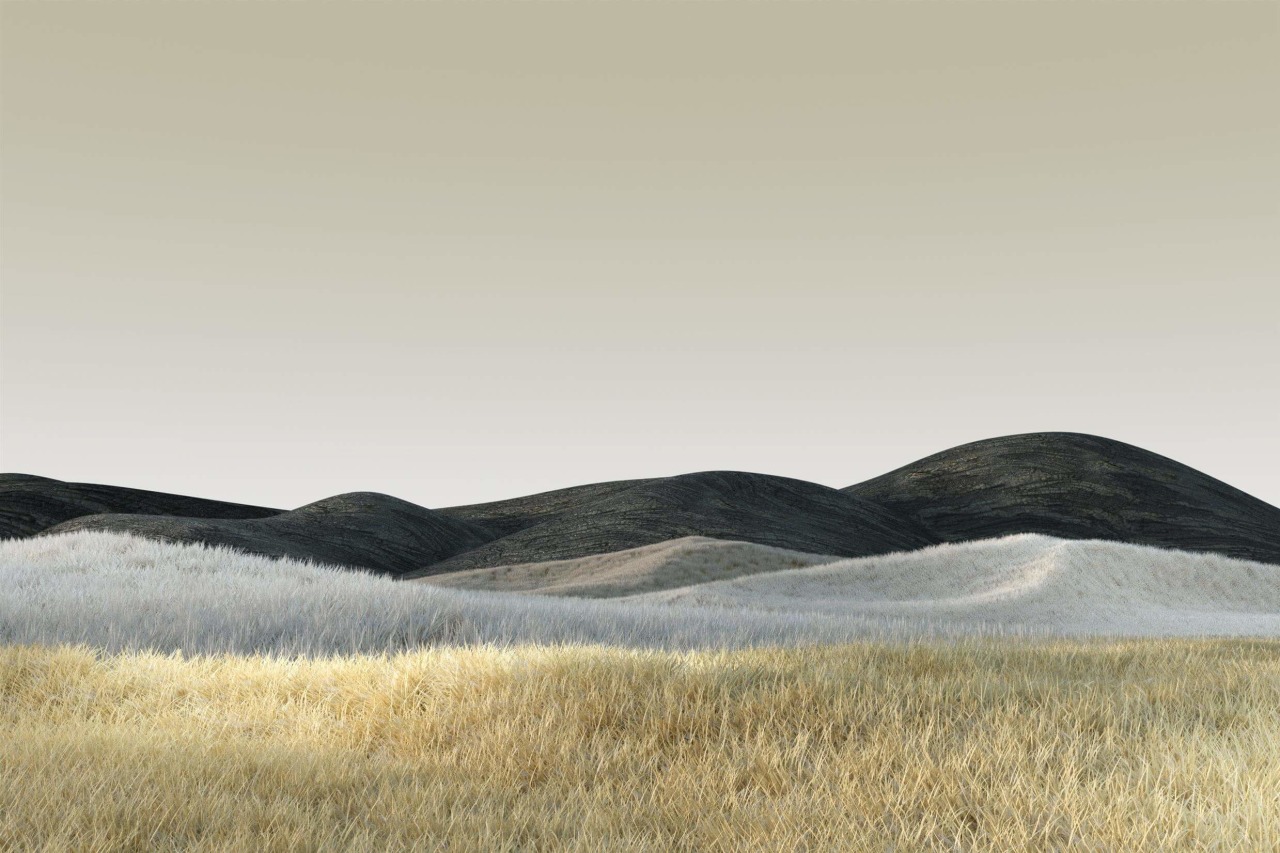 Rolling Grassy Hills Landscape Photography