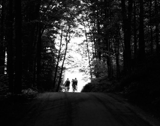 Forest Path Landscape At Dusk