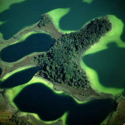 Lush Waterways Landscape Photography