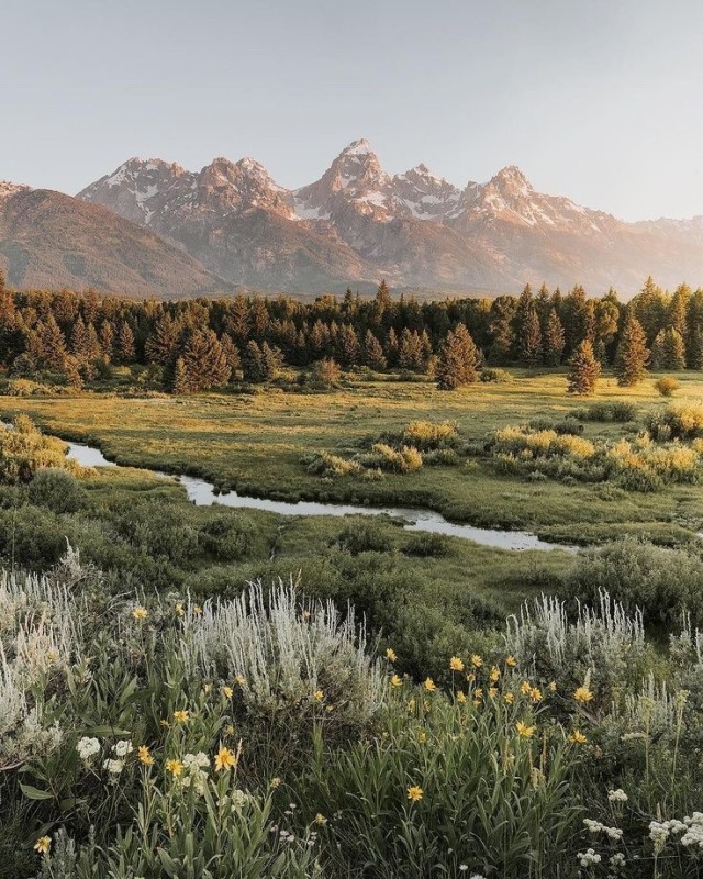 Willow Flats Landscape Photography Grand Teton