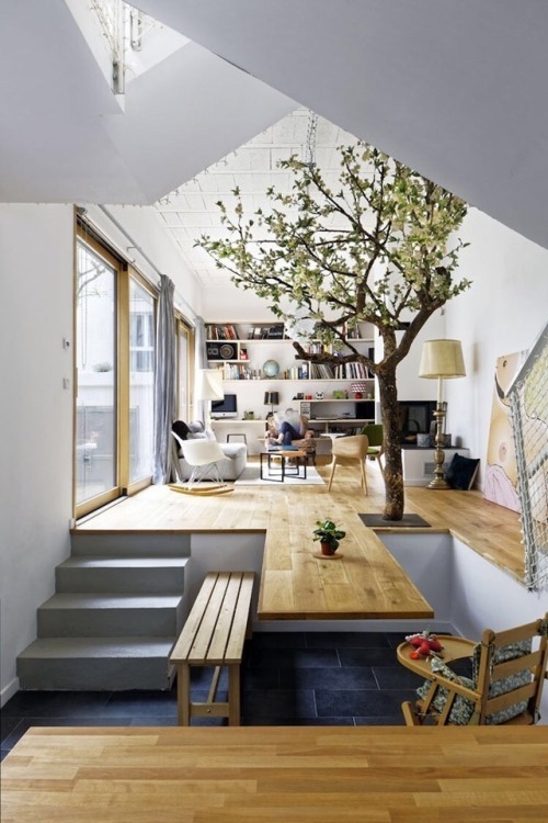 Indoor Tree Atrium Light-filled Home