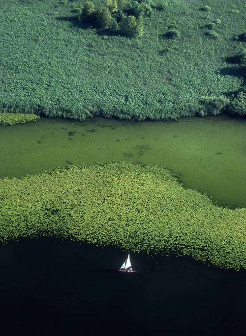 Sailboat On Serene Lake Surrounded By Forest