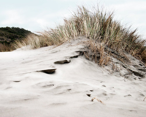 Beach Dunes Landscape Photography Cape Cod