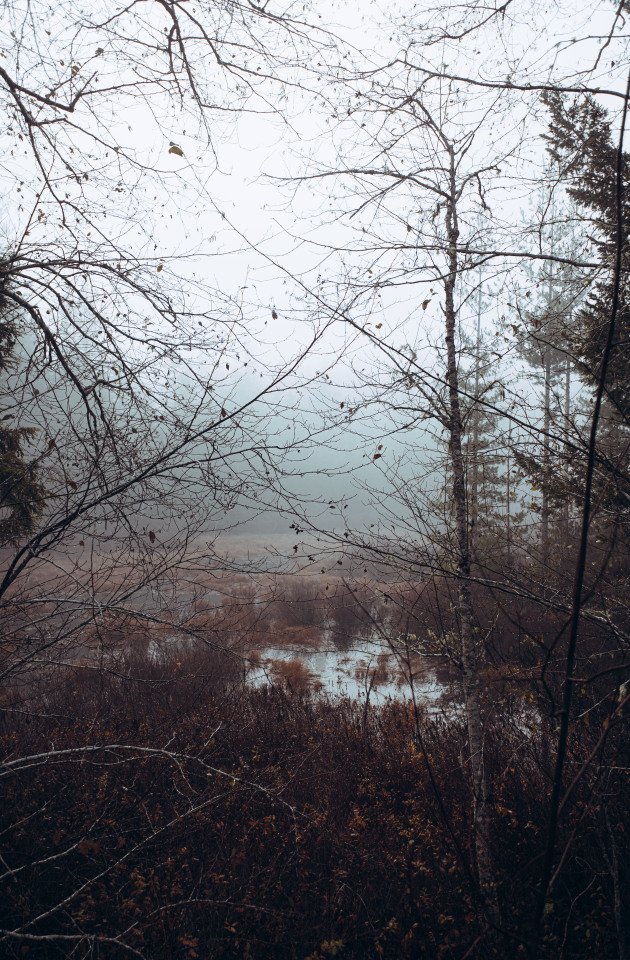 Frozen Lake Landscape In Winter