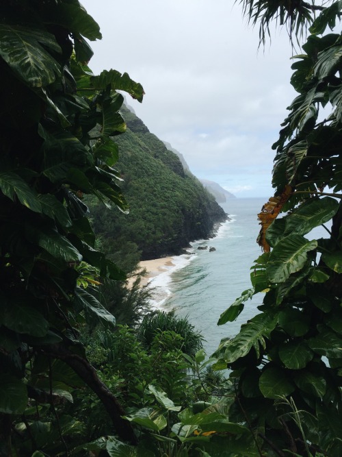 Lush Coastal Cliffs Landscape Kauai