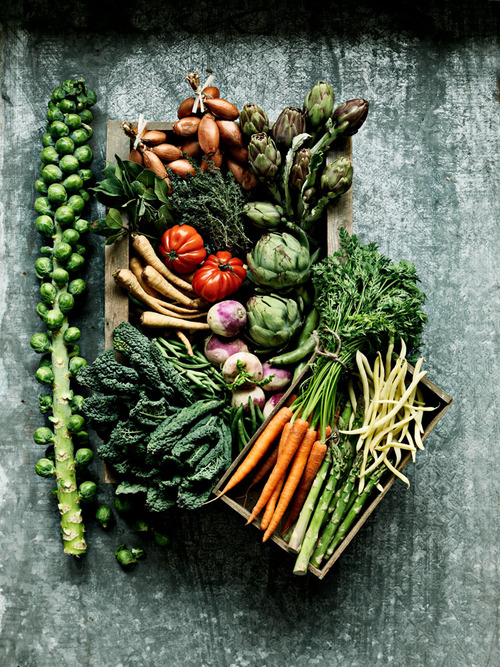 Vibrant Farmers Market Produce Haul