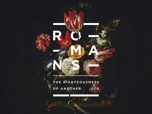 Vibrant Floral Landscape Photography